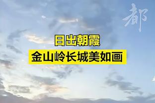 稳定输出！欧文西部决赛场均27分4.6助 投篮命中率49%