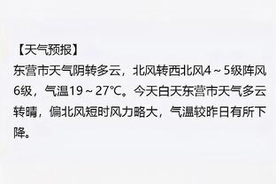 开云手机app网页版入口